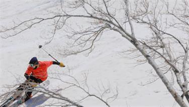 Image for: 1 day Economy class 3/24-5/11 (web)